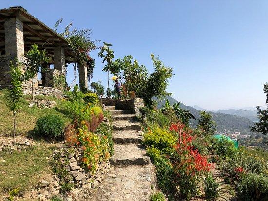 The Kumaoni Farm Cafe